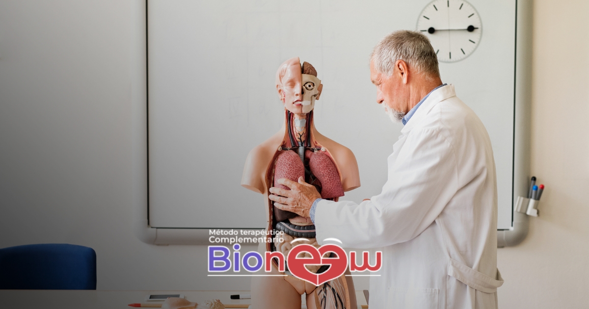 La biología en la terapia bioneuroemocional